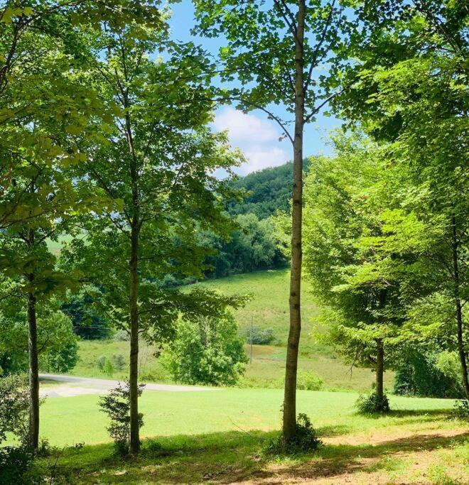 Villa Foxtail Orchards - The Fox Den Tazewell Esterno foto